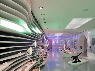 Museu de História Natural de Sintra