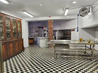 Museu de História Natural do Funchal – Photo 2 of 6