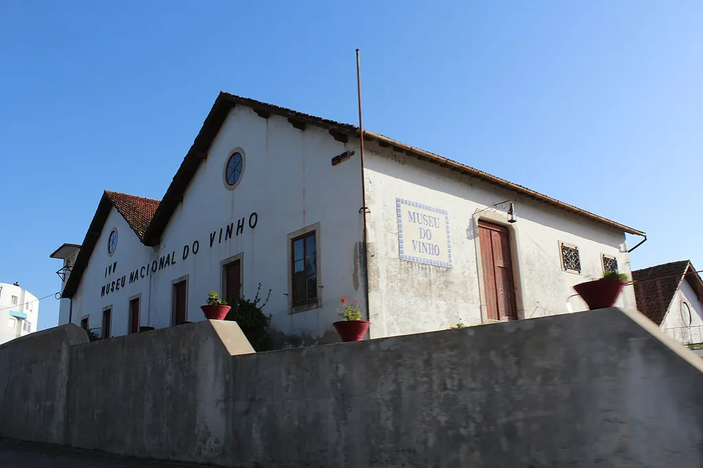 Museu do Vinho de Alcobaça