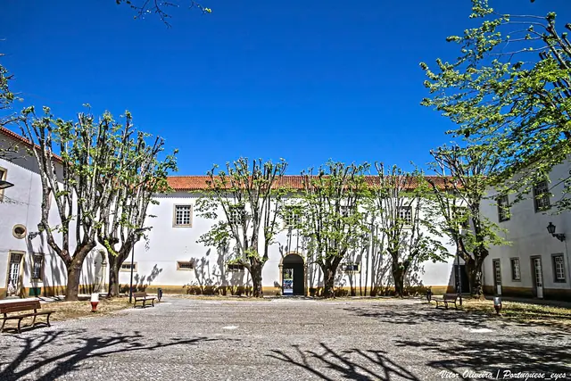 Museu dos Fósforos – Aquiles da Mota Lima in Tomar – Bild 4 von 4
