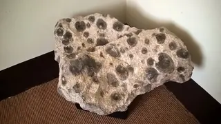 Museu Geológico in Lisboa – Foto 1 de 4