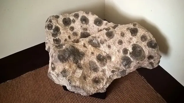 Museu Geológico in Lisbona