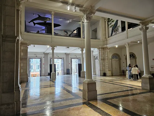Museu Nacional de História Natural e da Ciência in Lissabon – Bild 3 von 9
