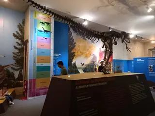 Museu Nacional de História Natural e da Ciência in Lissabon – Bild 4 von 9