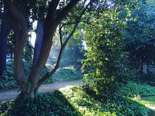 Museu Romântico in Porto – Bild 3 von 3