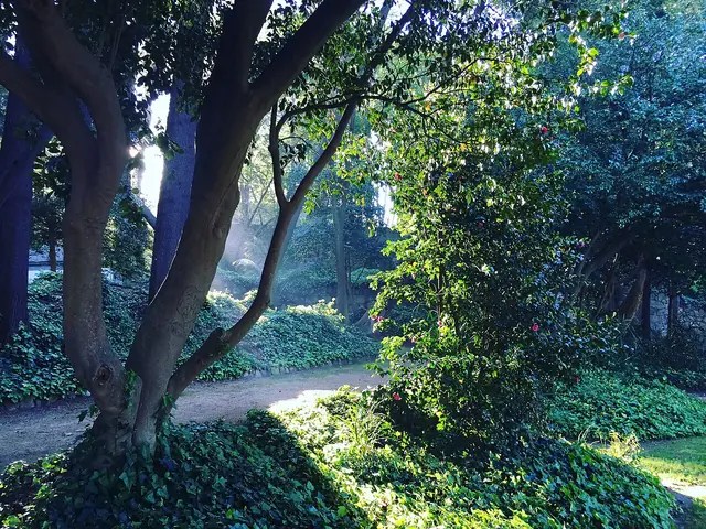 Museu Romântico in Porto – Bild 3 von 3