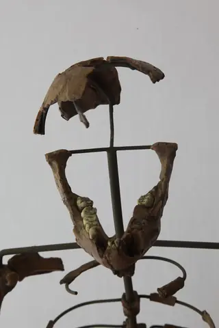 Muséum d'histoire naturelle de Genève – Photo 2 sur 2