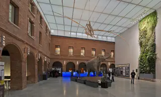 Muséum de Toulouse in Tuluza