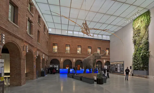 Muséum de Toulouse in Tuluza