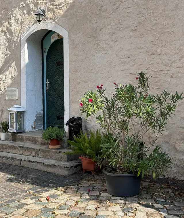 Museum in der Wasserburg Egeln – Photo 4 of 4