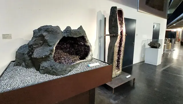 Senckenberg Naturmuseum Dresden in Dresda