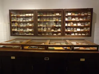 Museum Fürstenwalde – Photo 1 of 2