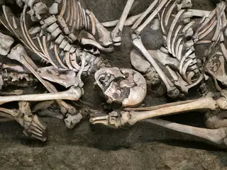 Museum Lützen 1632 – Photo 3 of 3