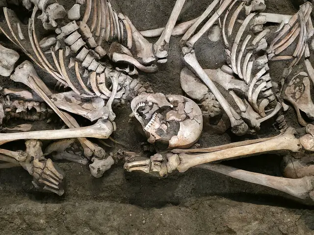Museum Lützen 1632 – Photo 3 of 3