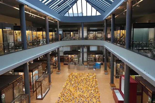 Muséum régional des Sciences naturelles in Mons