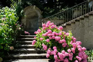 Museum Rietberg in Zurich – Photo 9 sur 9