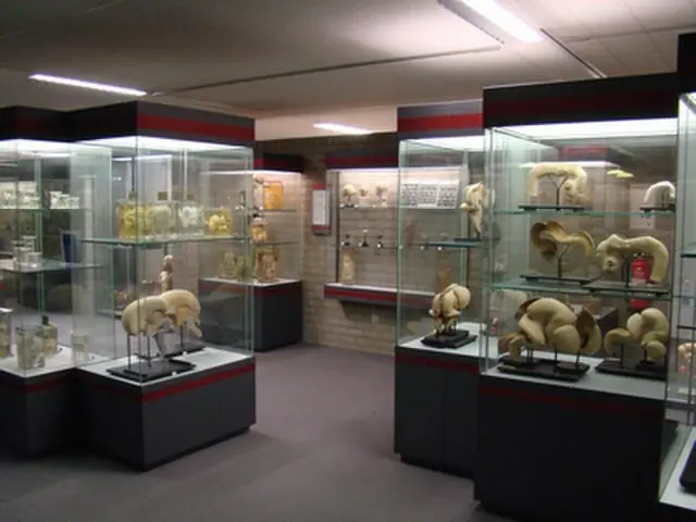 Museum Vrolik in Amsterdam
