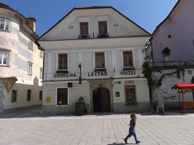 Muzej Lectar in Radovljica