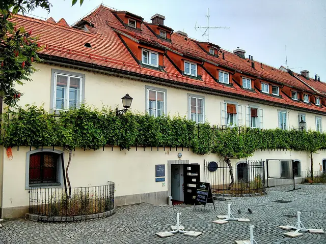 Muzej najstarejše trte na svetu in Maribor