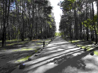 Muzeum i Miejsce Pamięci w Sobiborze in Sobibór – Photo 2 of 2