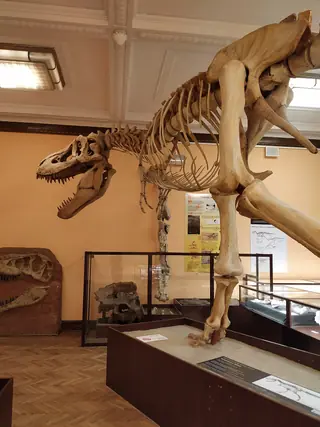 Muzeum Ewolucji Instytutu Paleobiologii PAN in Warszawa – Zdjęcie 2 z 6