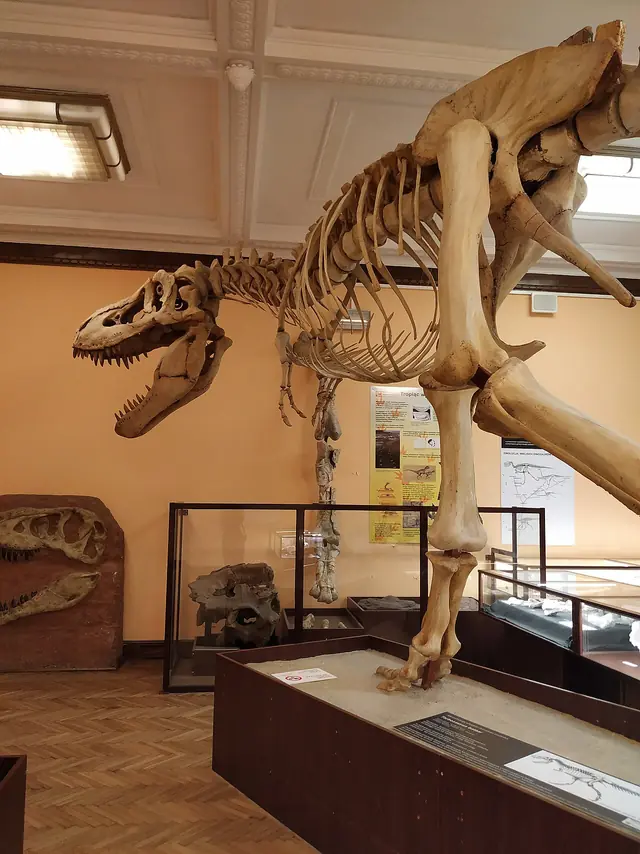 Muzeum Ewolucji Instytutu Paleobiologii PAN in Warszawa – Zdjęcie 2 z 6