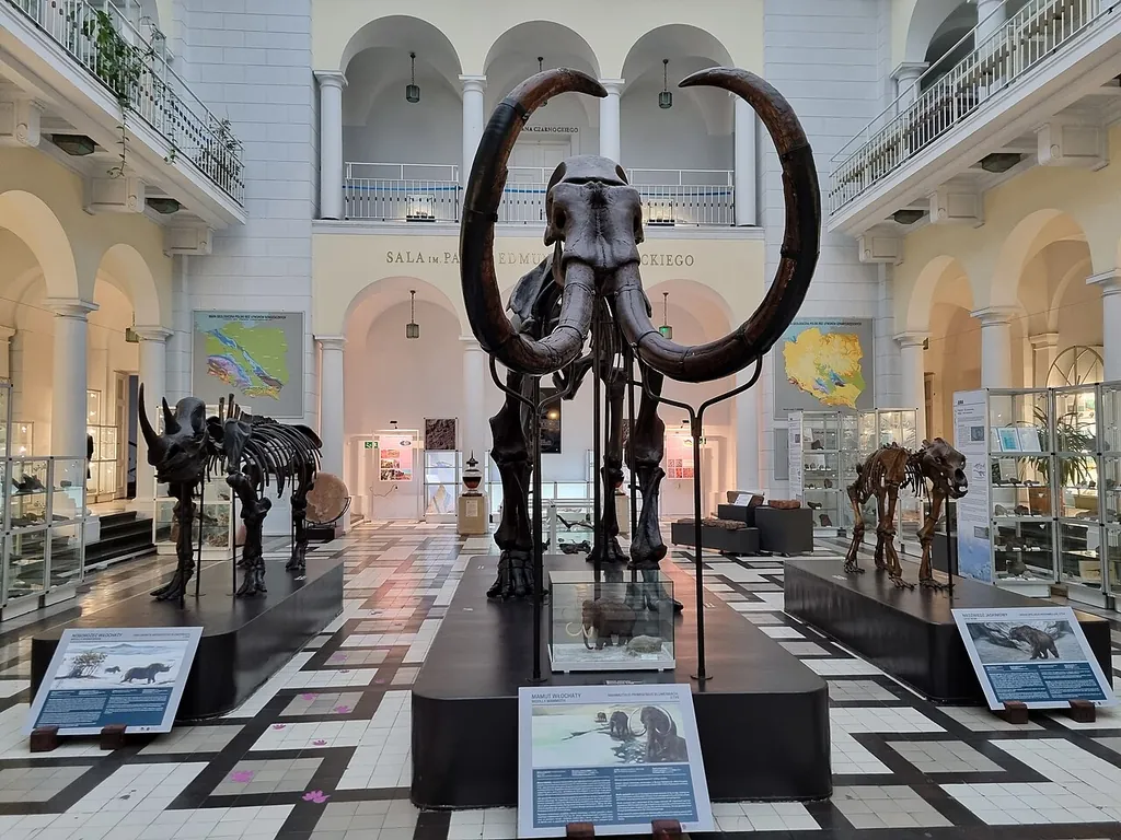 Muzeum Geologiczne Państwowego Instytutu Geologicznego in Warszawa – Zdjęcie 2 z 3