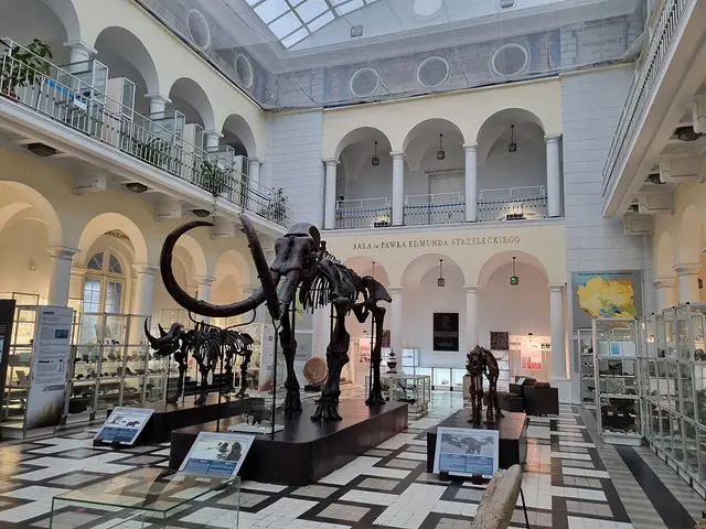 Muzeum Geologiczne Państwowego Instytutu Geologicznego in Warszawa – Zdjęcie 3 z 3