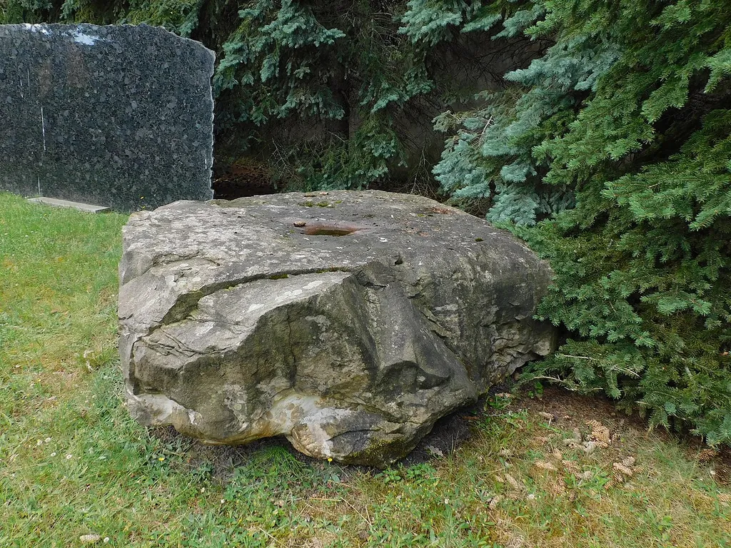 Muzeum Geologiczne im. Jana Ziomka w Łodzi in Łódź – Bild 3 von 3