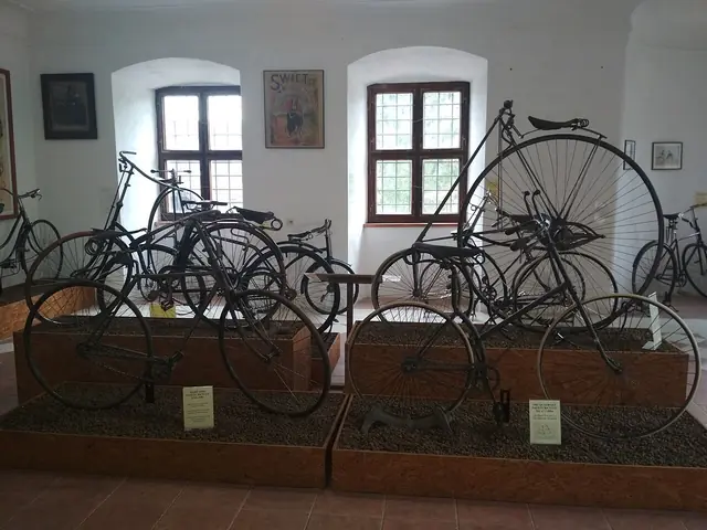 Muzeum kol Boskovštejn