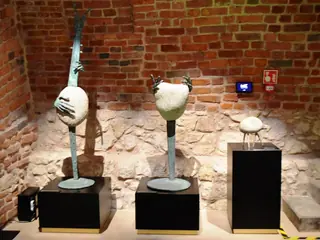Muzeum Krakowa in Kraków – Zdjęcie 8 z 8