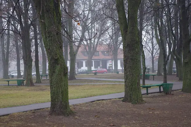 Muzeum Małego Miasta w Bieżuniu in Bieżuń