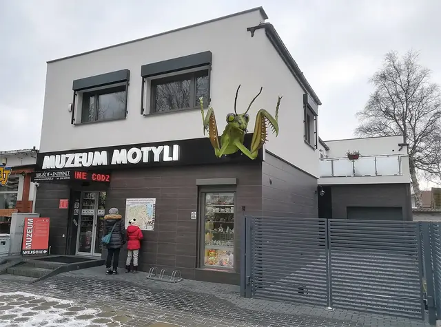 Muzeum Motyli w Łebie in Łeba