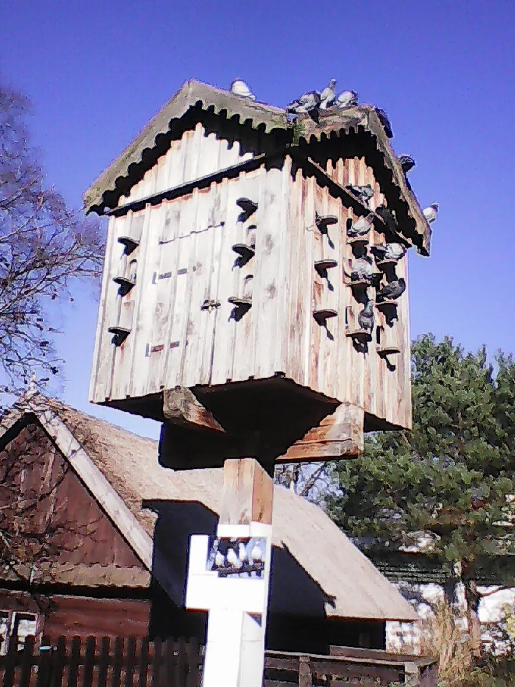 Muzeum Narodowe Rolnictwa i Przemysłu Rolno-Spożywczego w Szreniawie in Szreniawa – Photo 2 of 2