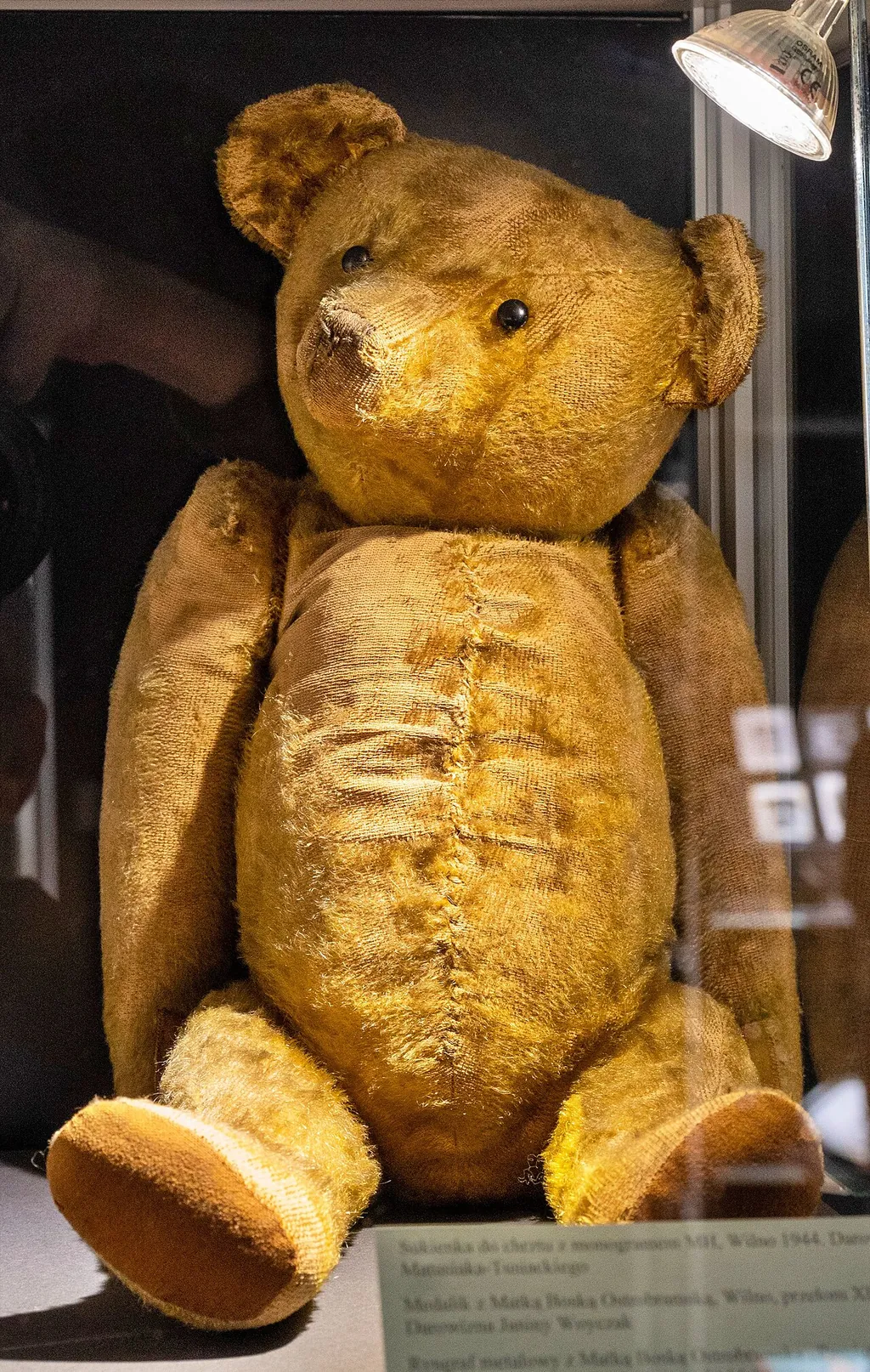 Muzeum Narodowe w Szczecinie in Stettin – Bild 4 von 4