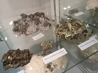 Muzeum Podlaskie w Białymstoku in Białystok – Photo 3 of 6