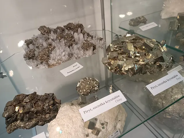 Muzeum Podlaskie w Białymstoku in Białystok – Photo 3 of 6