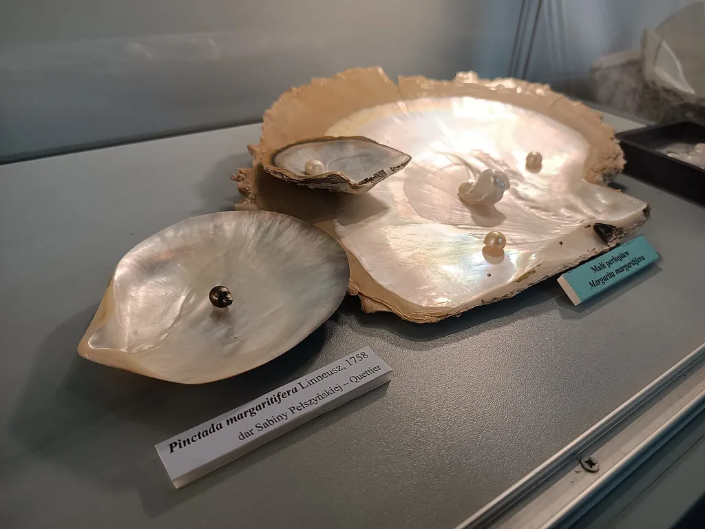 Muzeum Podlaskie w Białymstoku in Białystok – Photo 4 of 6