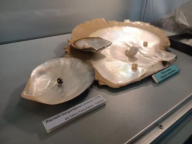 Muzeum Podlaskie w Białymstoku in Białystok – Photo 4 of 6