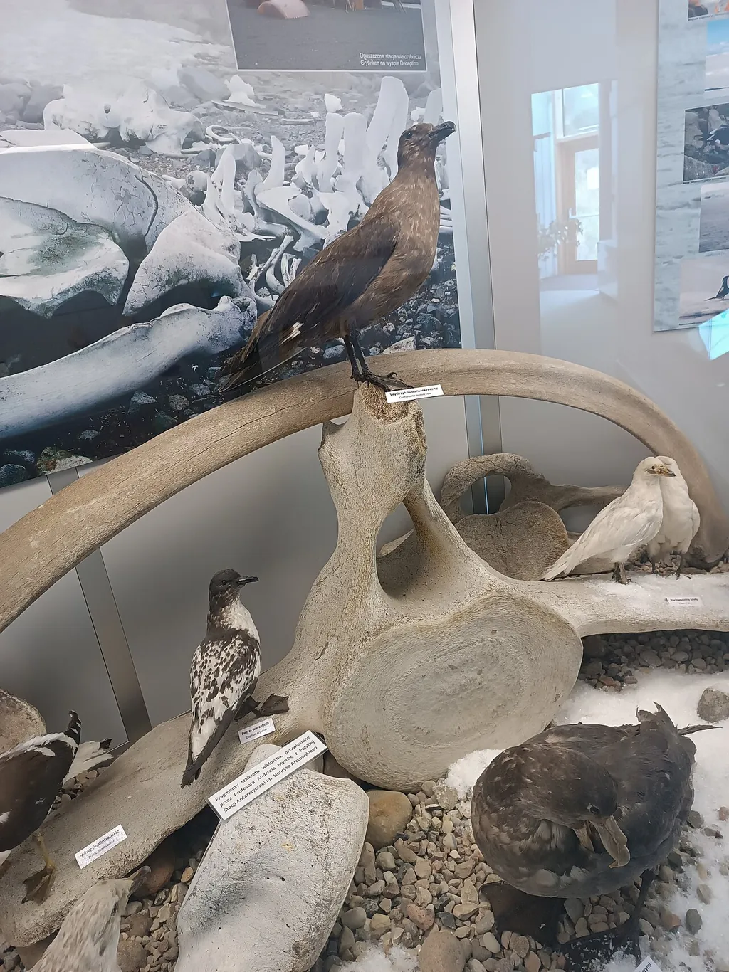 Muzeum Podlaskie w Białymstoku in Białystok – Photo 5 of 6