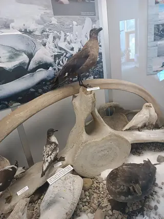 Muzeum Podlaskie w Białymstoku in Białystok – Photo 5 of 6