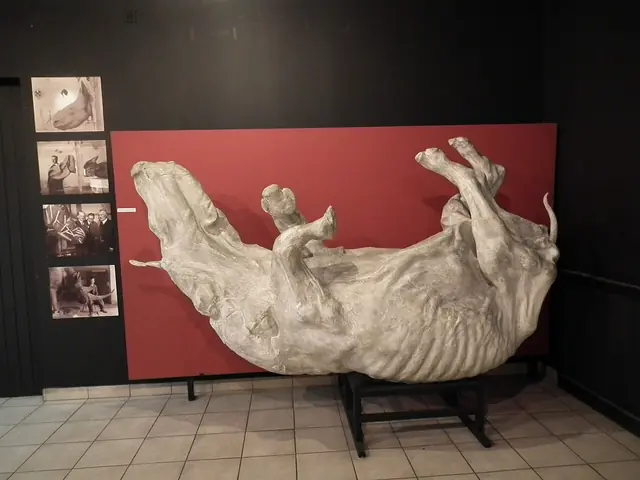 Muzeum Przyrodnicze Instytutu Systematyki i Ewolucji Zwierząt PAN in Kraków