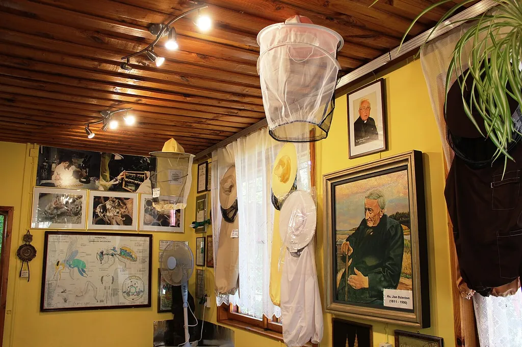 Muzeum Pszczelarstwa w Kamiannej in Kamianna