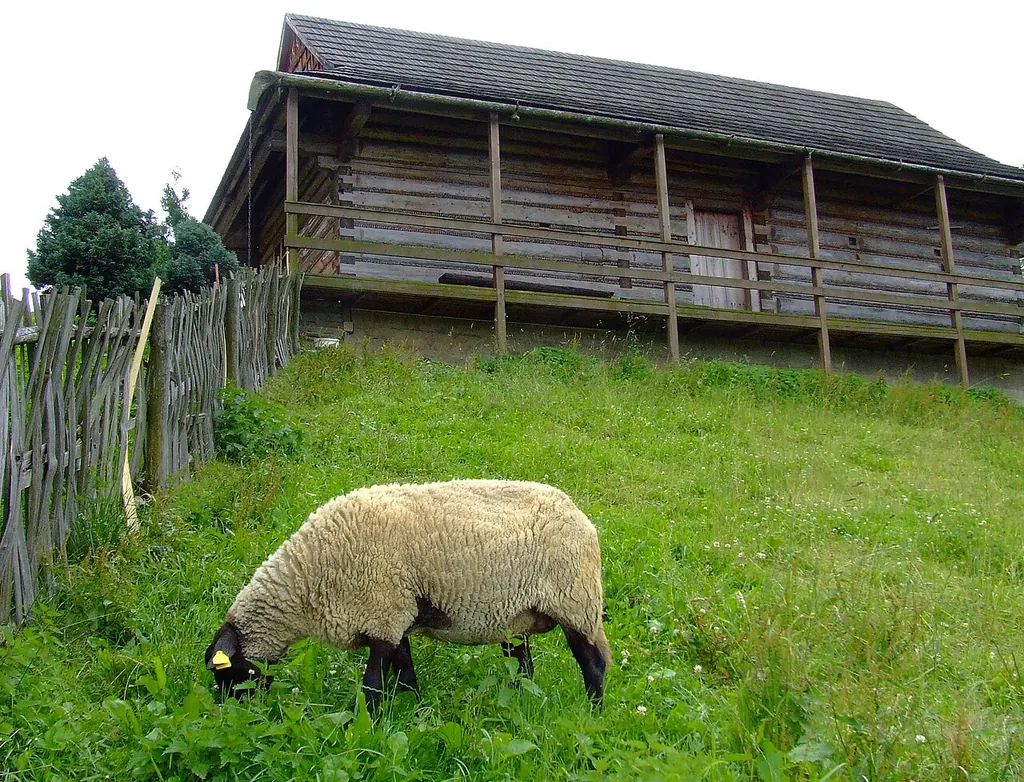 Muzeum Regionalne "Na Grapie" w Jaworzynce in Jaworzynka