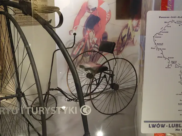Muzeum Sportu i Turystyki w Warszawie in Warszawa – Zdjęcie 2 z 5