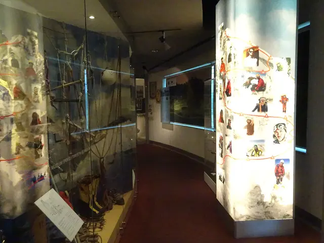 Muzeum Sportu i Turystyki w Warszawie in Warszawa – Zdjęcie 4 z 5