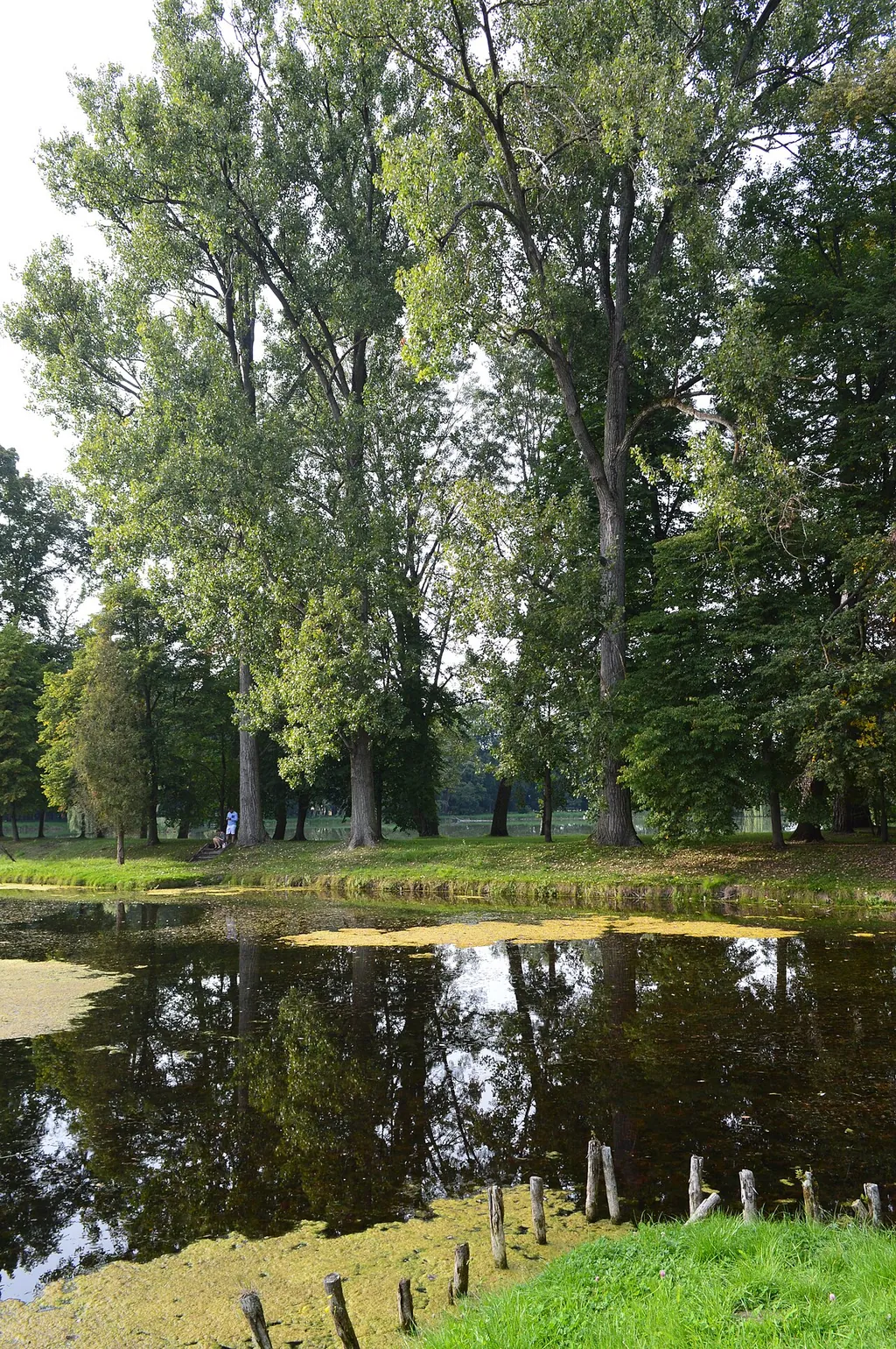 Muzeum w Nieborowie i Arkadii in Nieborów – Zdjęcie 7 z 9