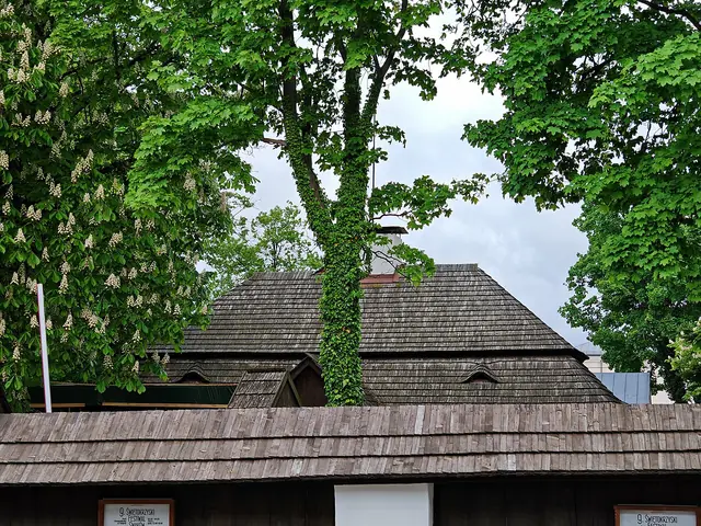 Muzeum Wsi Kieleckiej w Kielcach in Kielce – Bild 4 von 7