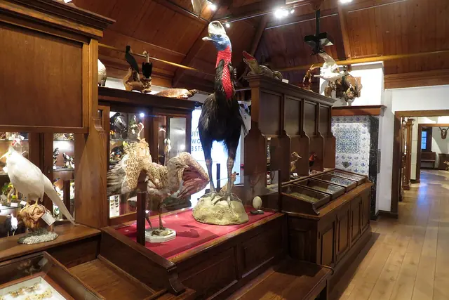 Museum Natura Docet in Denekamp