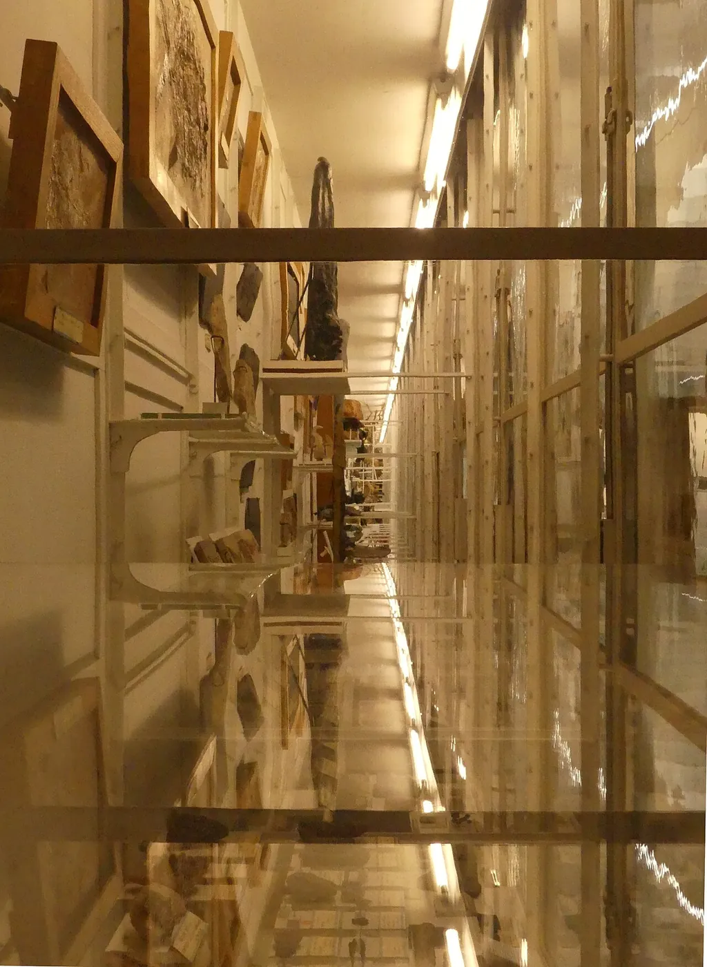 Naturéum in Lausanne – Photo 2 sur 2